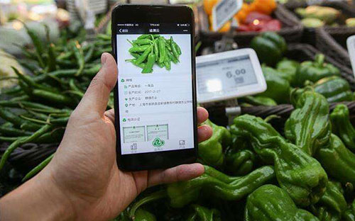 利用掃碼設(shè)備使得農(nóng)產(chǎn)品溯源的實(shí)現(xiàn)移動(dòng)查詢(xún)