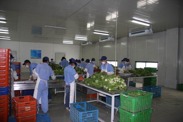 餐飲零售條碼掃描器