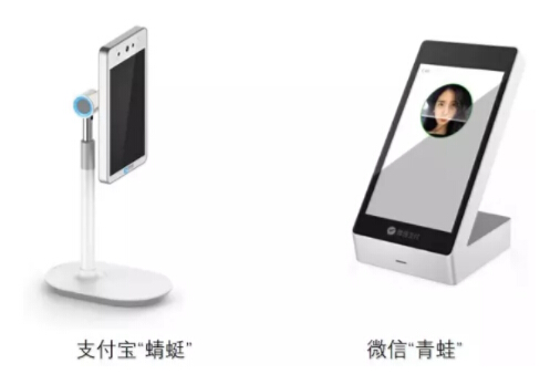 “蜻蜓”對上“青蛙”，到底誰勝誰負？